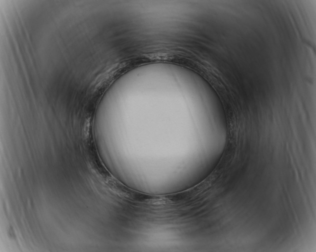 X0000103480652200809120929