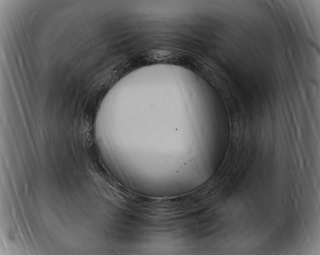 X0000103480653200809120929