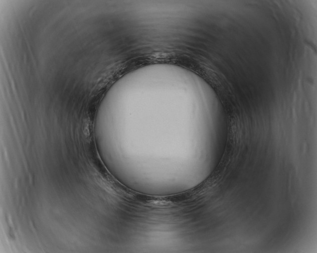 X0000103480654200809120929