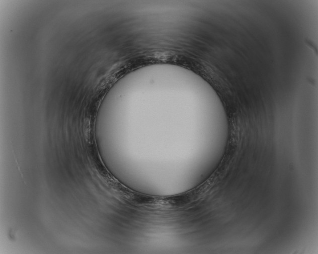 X0000103480656200809120929
