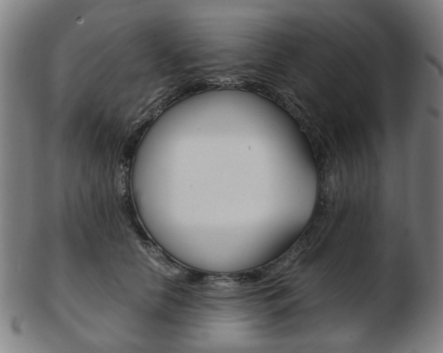 X0000103480658200809120929