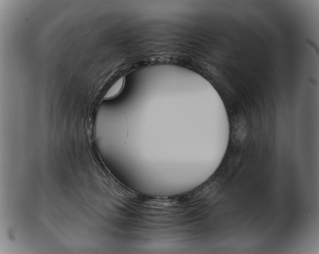 X0000103480661200809120929