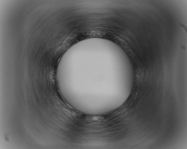 X0000103480663200809120929