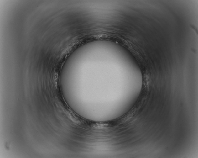 X0000103480664200809120929