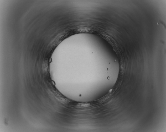 X0000103480665200809120929