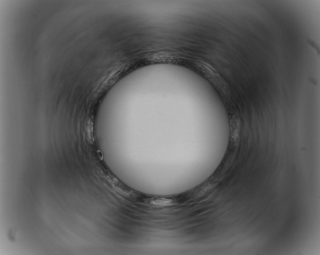 X0000103480669200809120929