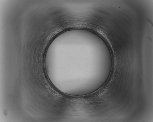 X0000103480673200809120929