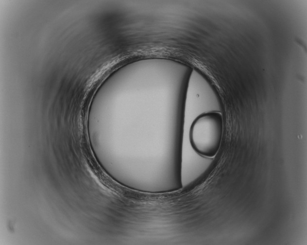 X0000103480674200809120929