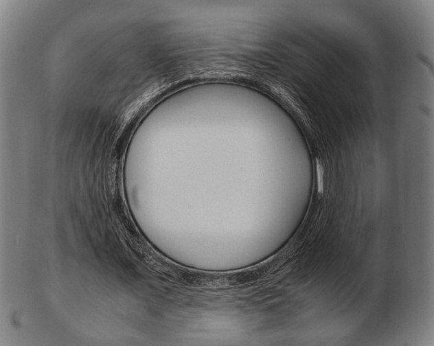X0000103480675200809120929