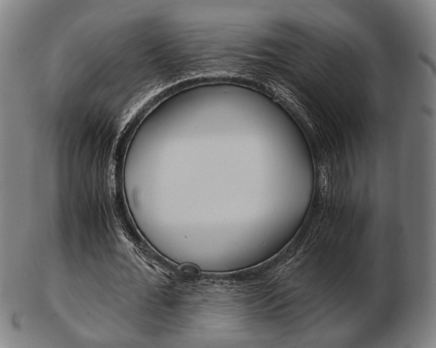 X0000103480676200809120929