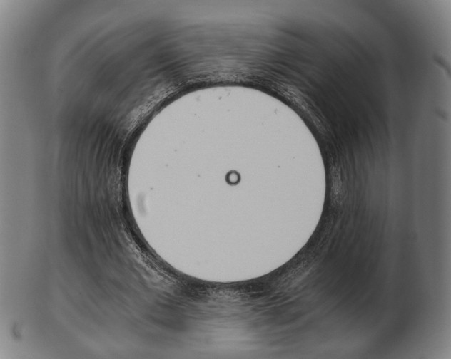 X0000103480677200809120929