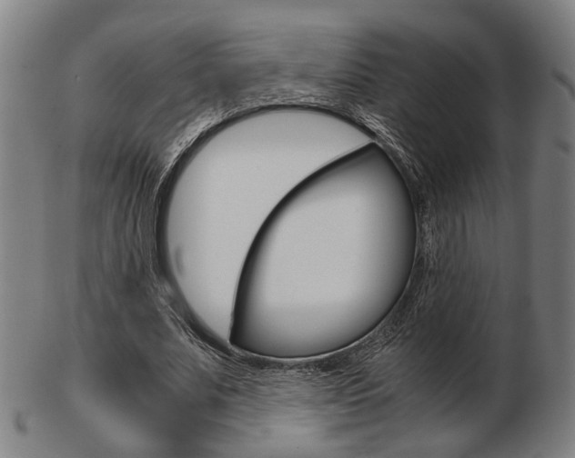 X0000103480679200809120929