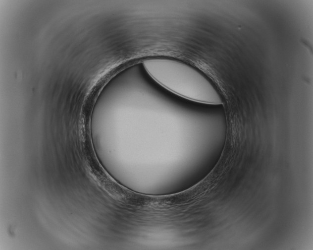 X0000103480680200809120929