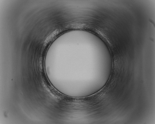 X0000103480682200809120928