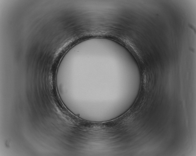 X0000103480684200809120928