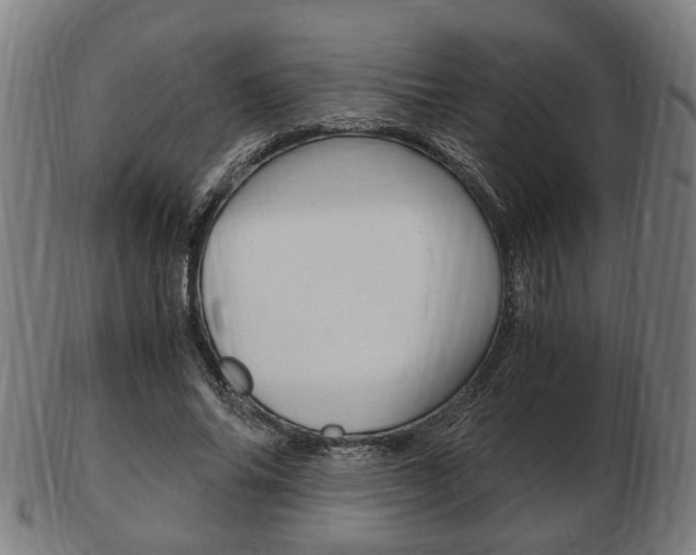 X0000103480686200809120928
