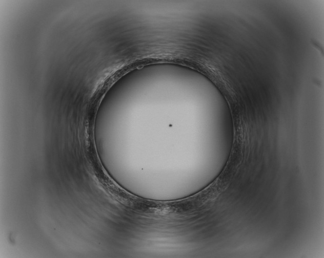 X0000103480688200809120928