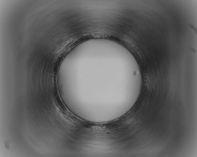 X0000103480690200809120928