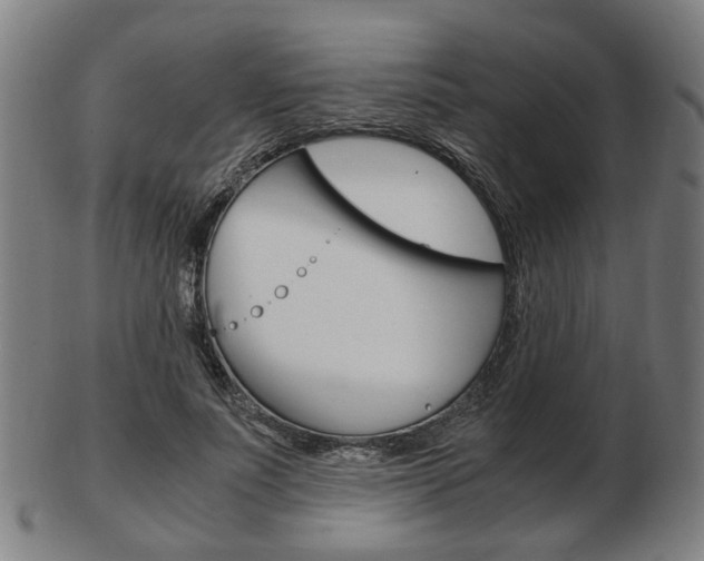 X0000103480691200809120928