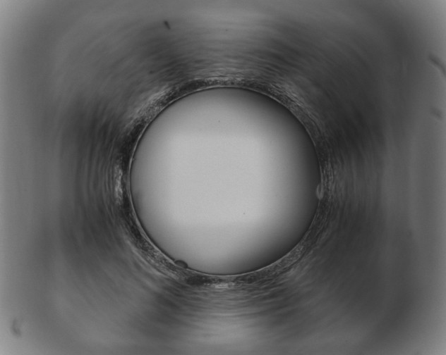 X0000103480692200809120928