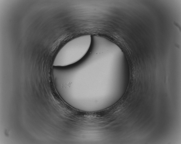 X0000103480693200809120928