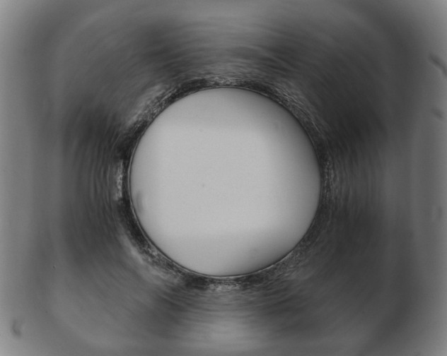X0000103480694200809120928