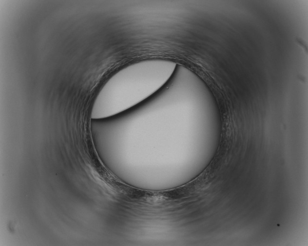 X0000103480695200809120928