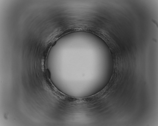 X0000103480696200809120928