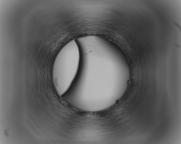 X0000103480697200809120928
