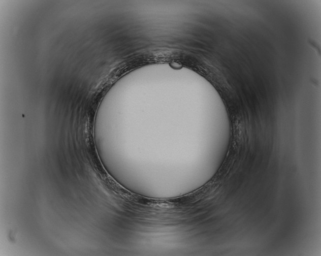 X0000103480698200809120928