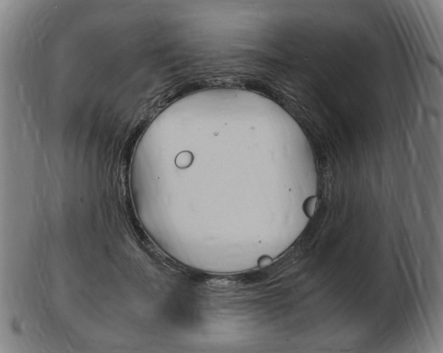 X0000103480699200809120928