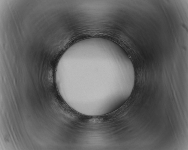 X0000103480700200809120928