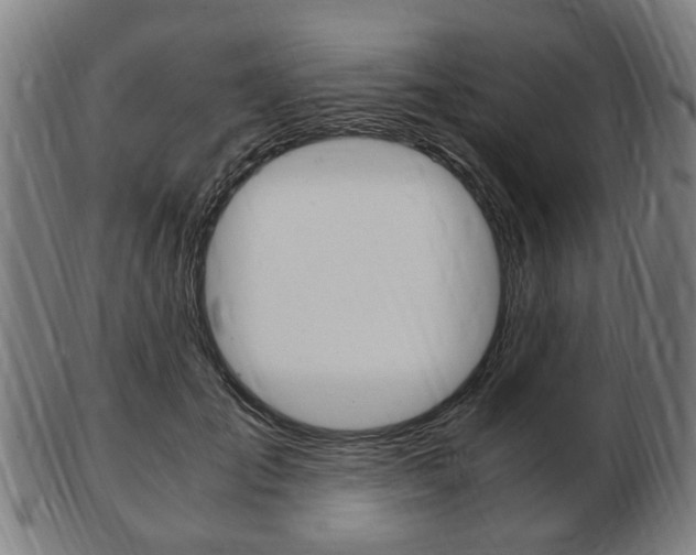 X0000103480701200809120928