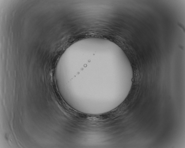 X0000103480703200809120928