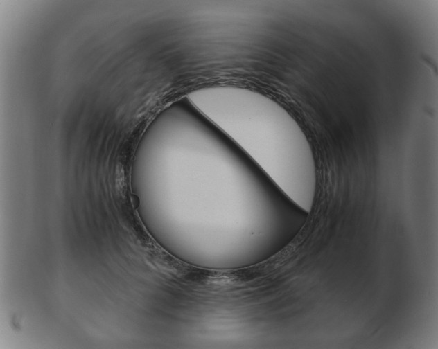 X0000103480704200809120928