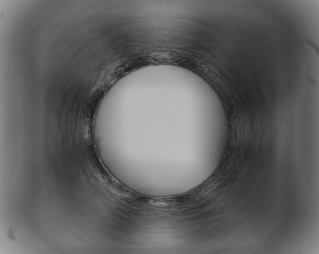 X0000103480706200809120928