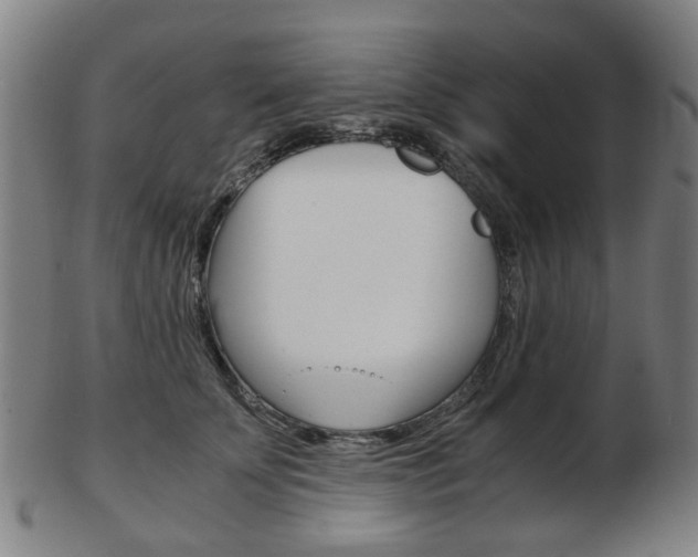 X0000103480707200809120928