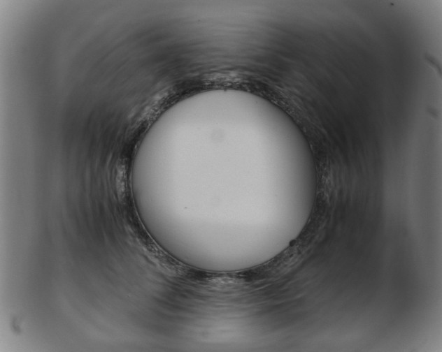 X0000103480708200809120928