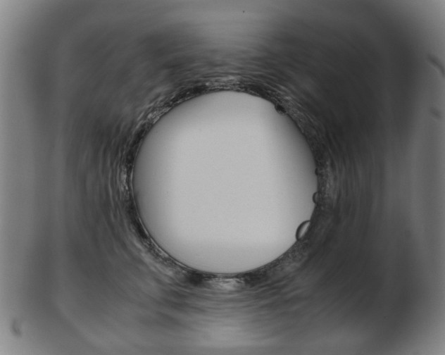 X0000103480711200809120928