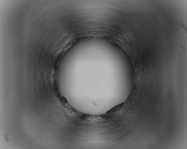 X0000103480712200809120928