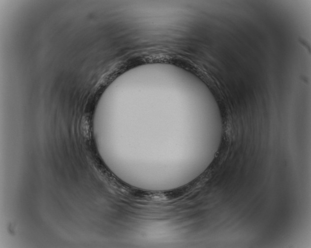 X0000103480715200809120928