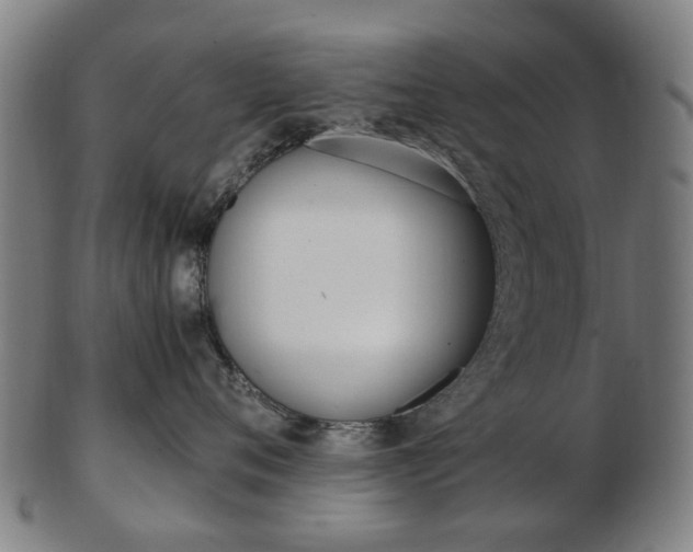 X0000103480720200809120928