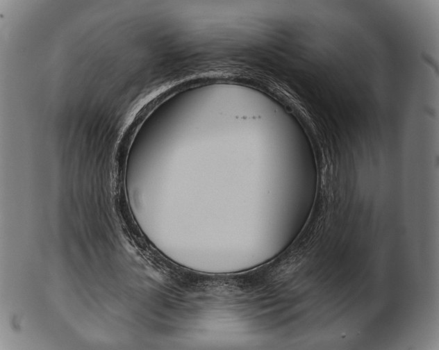 X0000103480724200809120927