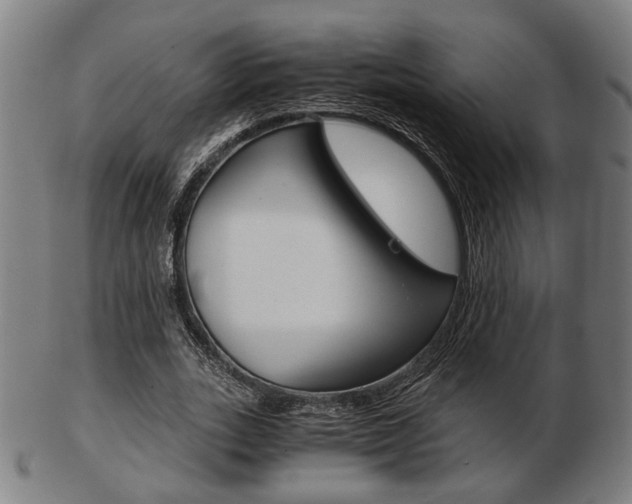 X0000103480727200809120927