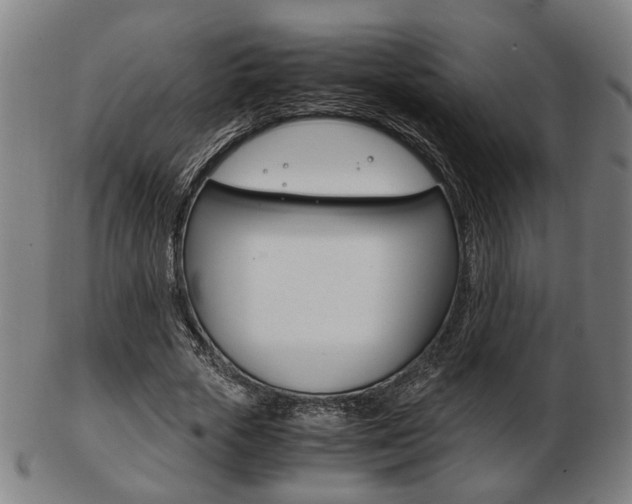 X0000103480729200809120927