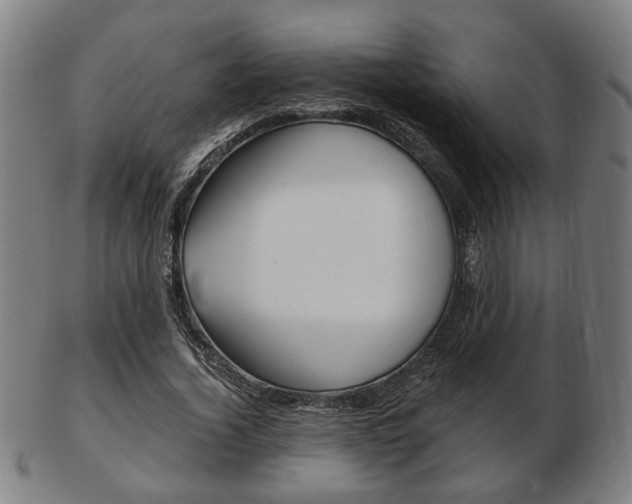 X0000103480732200809120927
