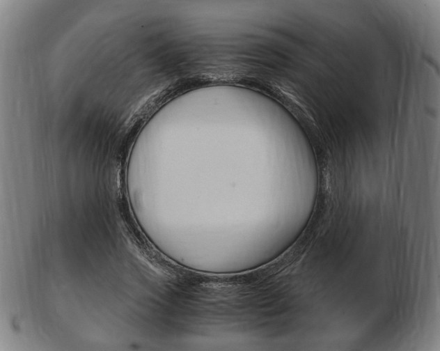 X0000103480733200809120927