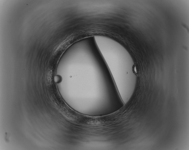 X0000103480735200809120928