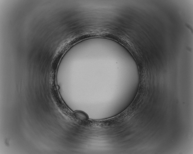 X0000103480736200809120928