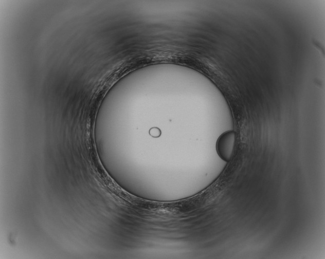 X0000103480737200809120928